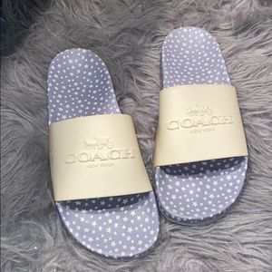 Coach slides